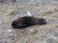 Albums/20060200-New Zealand 2006/20060314-Dunedin/50